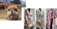 MIU MIU Коротке осінньо-зимнє пальто з альпаки MiuMiu-863