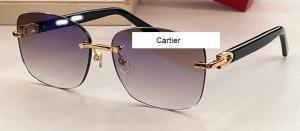 Тонкі квадратні безкаркасні сонцезахисні окуляри Cartier-375